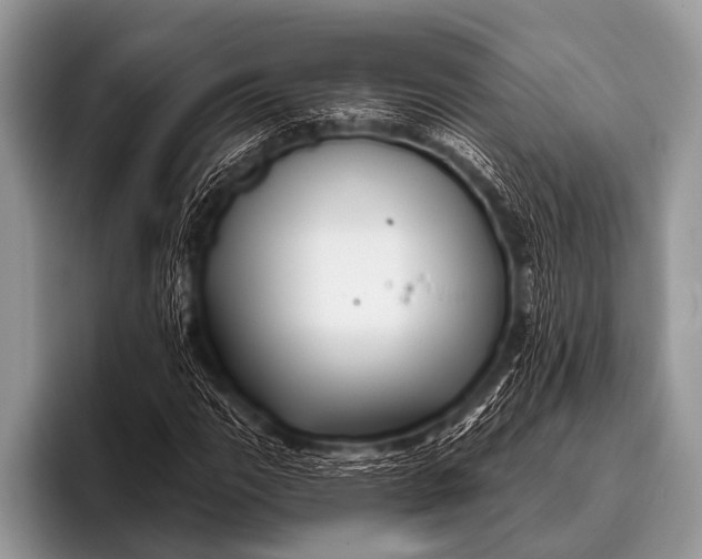 X0000096191111200802081514