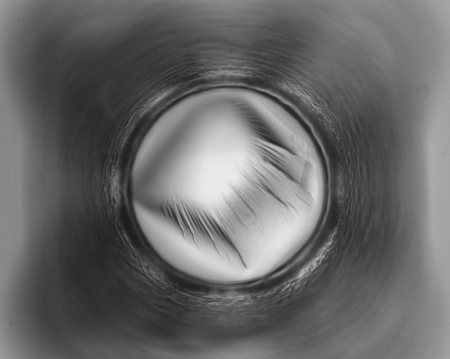 X0000096191113200802081514