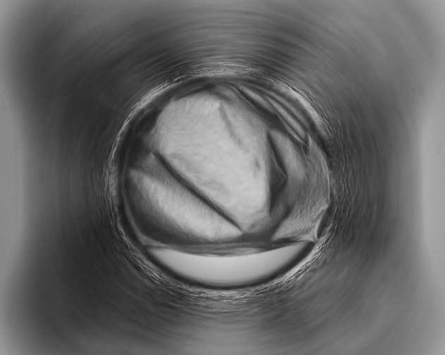 X0000096191114200802081514