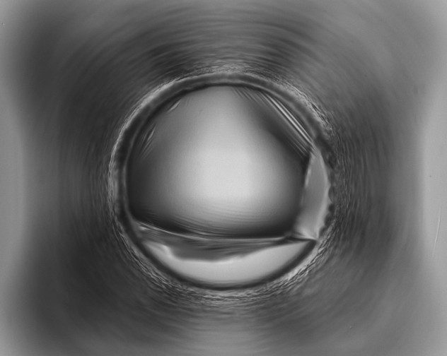 X0000096191118200802081514