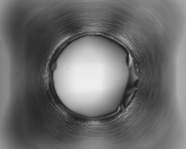 X0000096191119200802081514