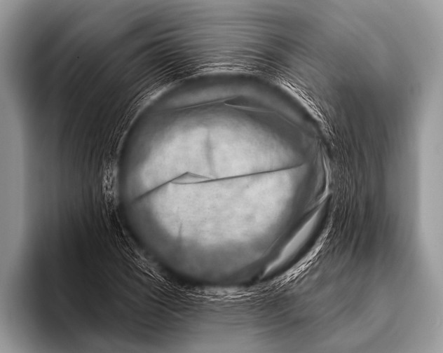 X0000096191121200802081514