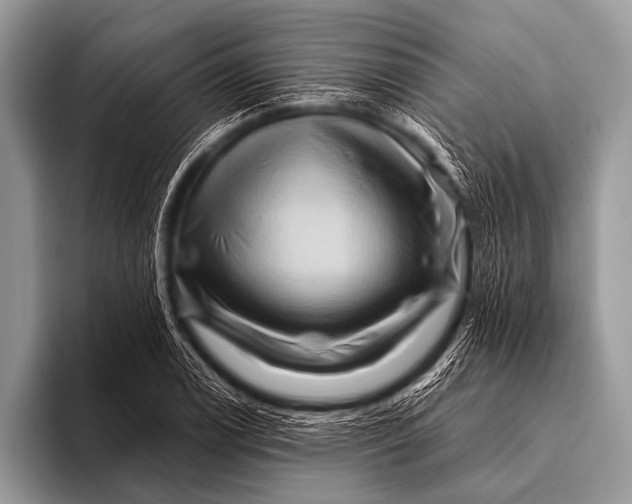 X0000096191122200802081514