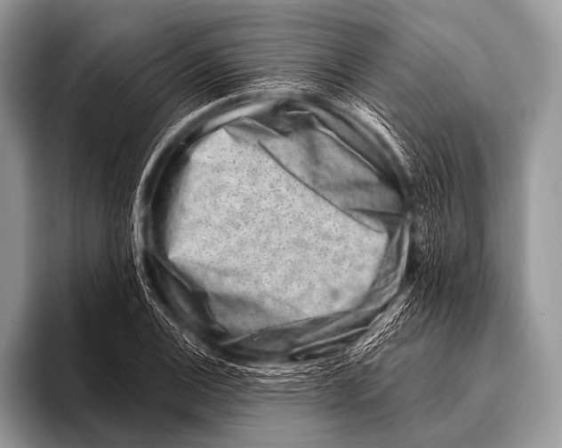 X0000096191124200802081514