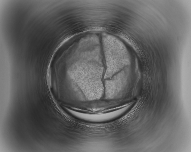 X0000096191127200802081514