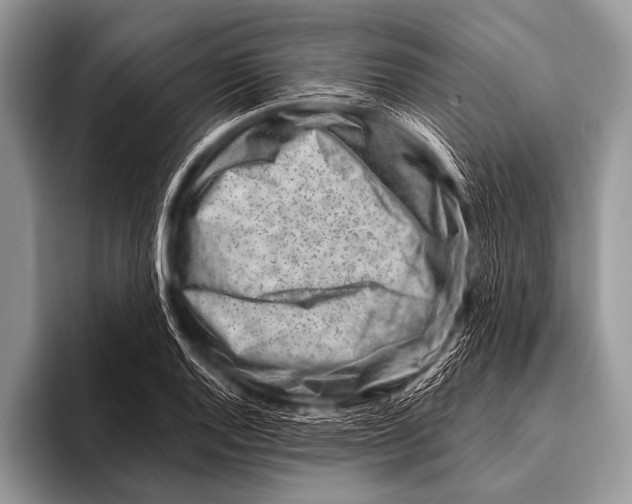 X0000096191128200802081514