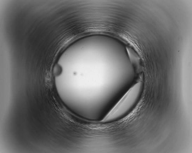 X0000096191129200802081514