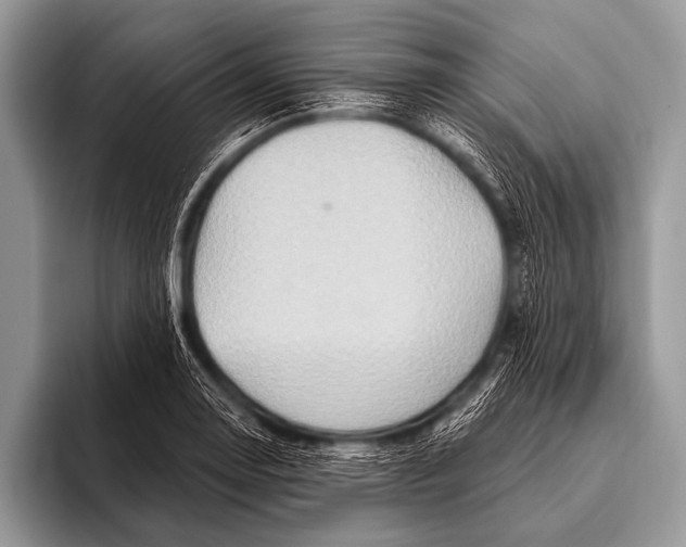 X0000096191130200802081514