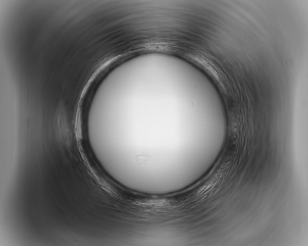 X0000096191131200802081514