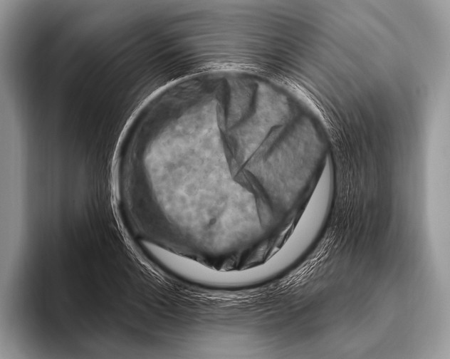 X0000096191132200802081514