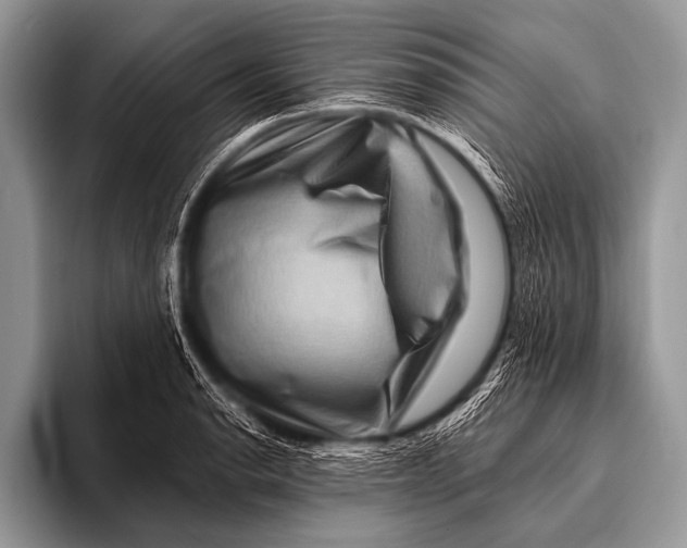 X0000096191134200802081514