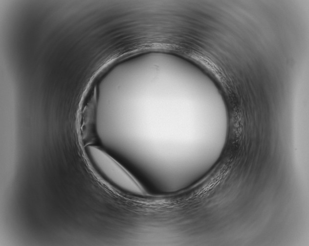 X0000096191135200802081514