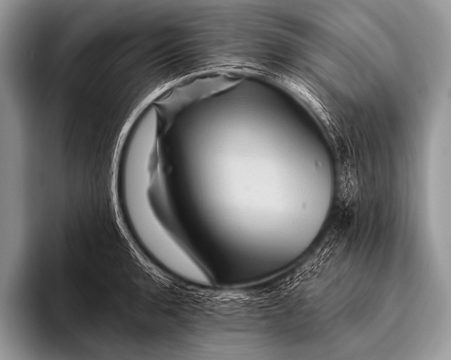 X0000096191136200802081514