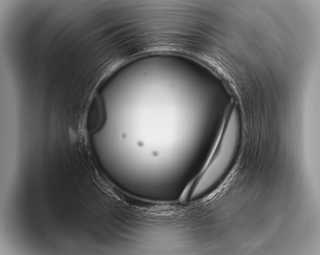 X0000096191137200802081514