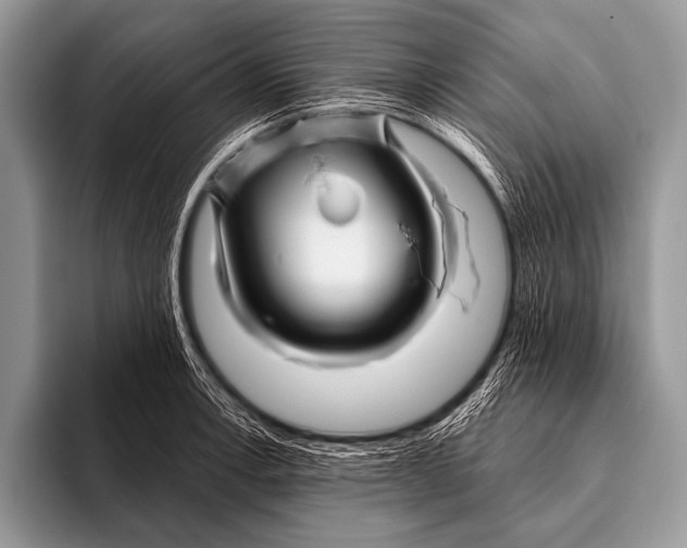 X0000096191138200802081514