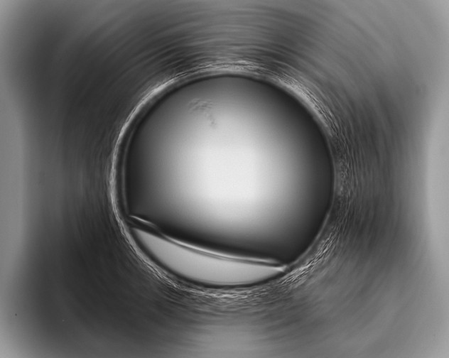 X0000096191139200802081514