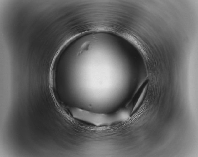 X0000096191140200802081514