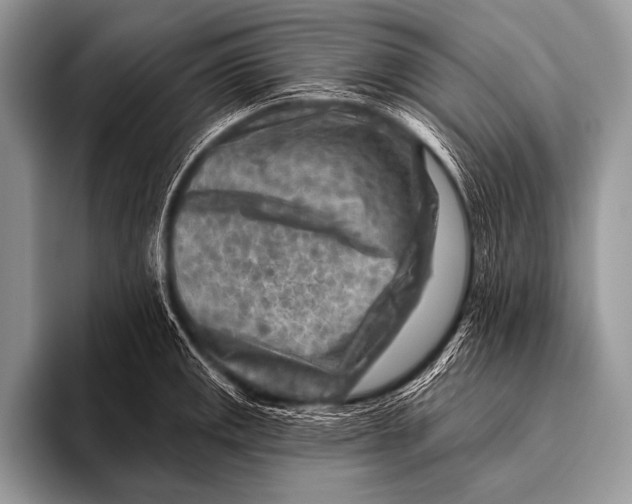 X0000096191141200802081514