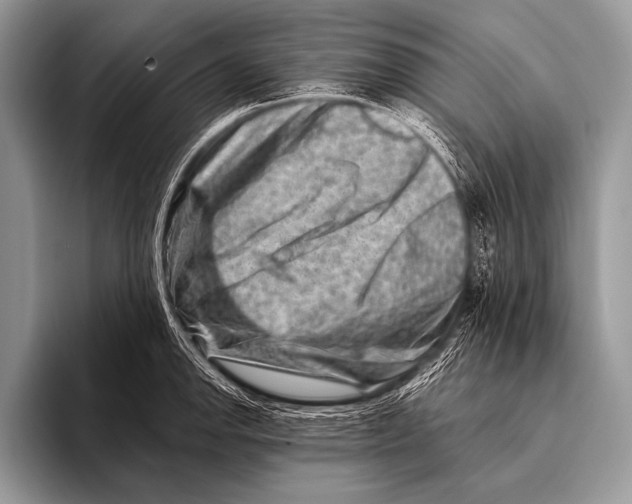 X0000096191142200802081514