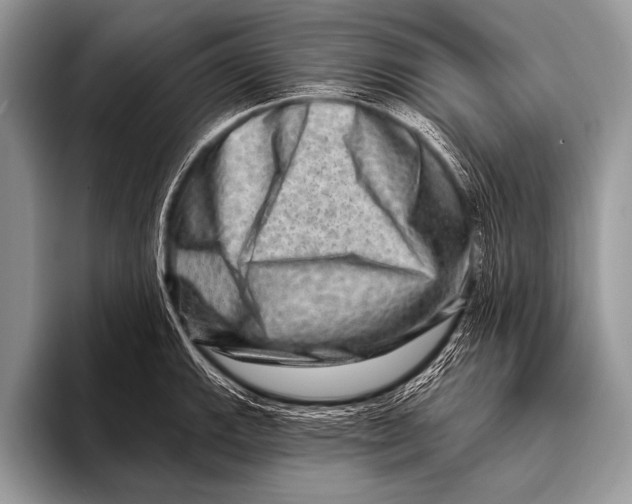 X0000096191143200802081514