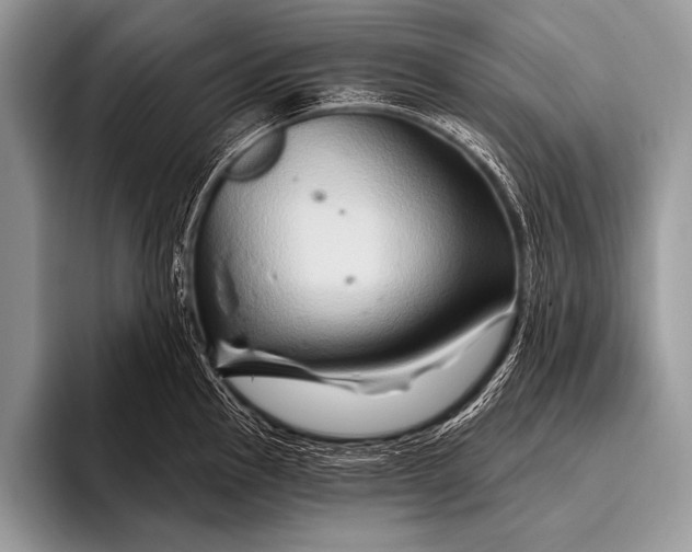 X0000096191145200802081514