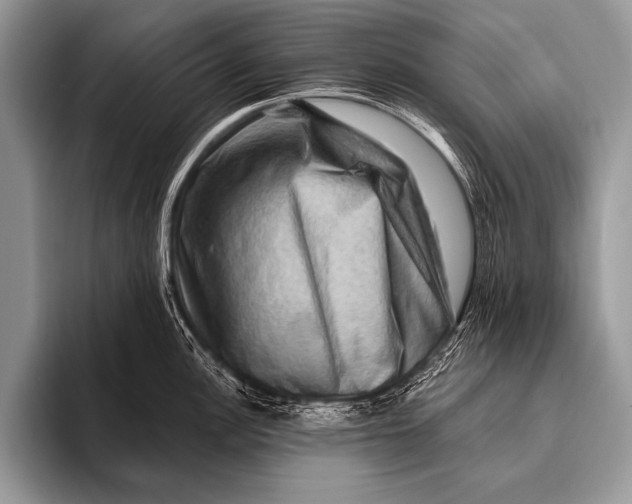 X0000096191148200802081515