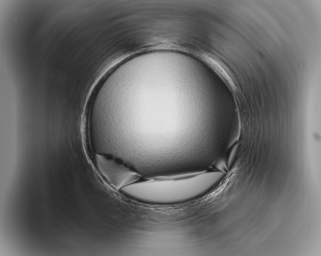 X0000096191149200802081515