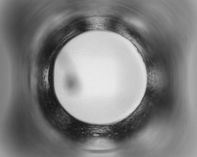 X0000096191150200802081515