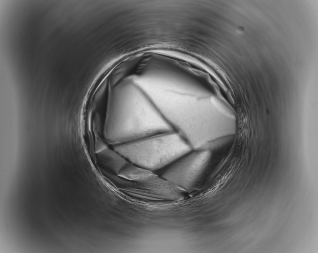 X0000096191151200802081515