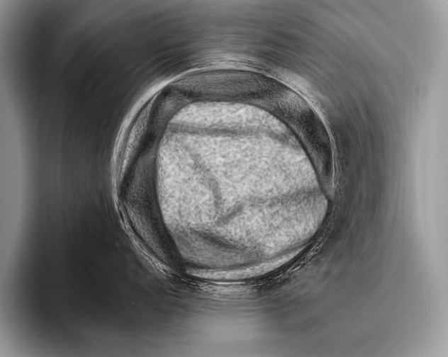 X0000096191152200802081515