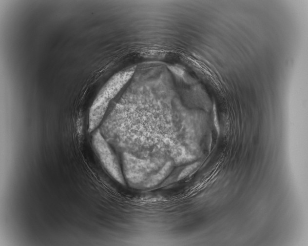 X0000096191154200802081514