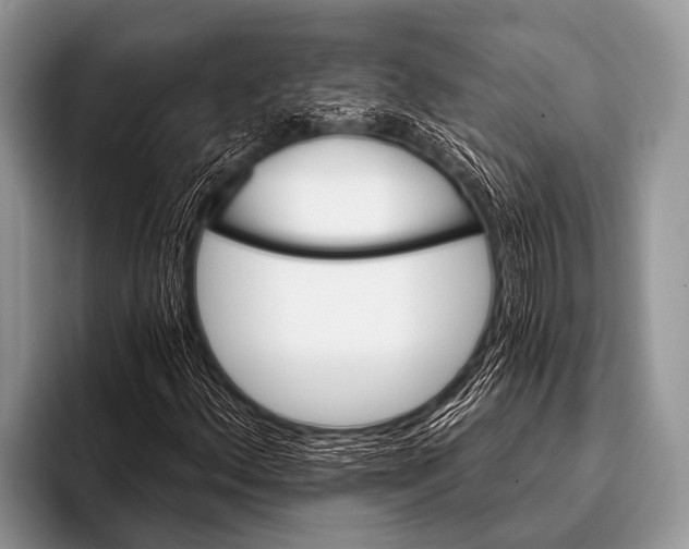 X0000096191156200802081514