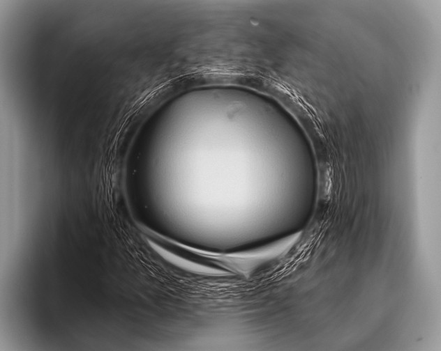 X0000096191157200802081514