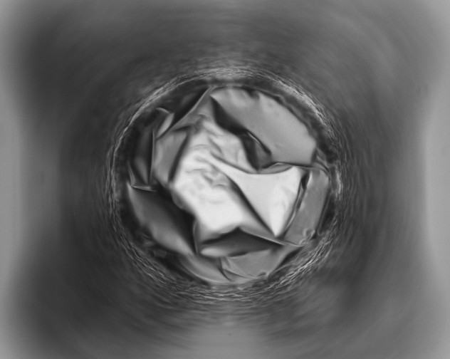 X0000096191160200802081514