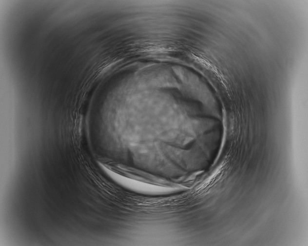 X0000096191161200802081514