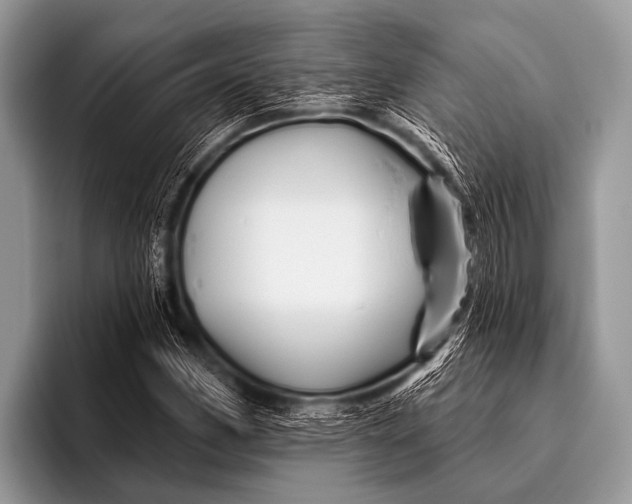 X0000096191162200802081514