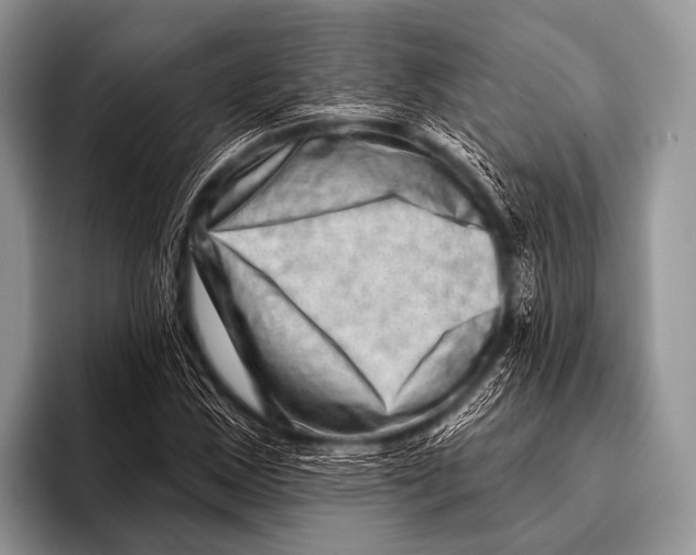 X0000096191163200802081514