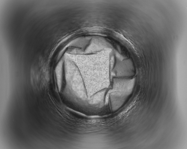 X0000096191166200802081514