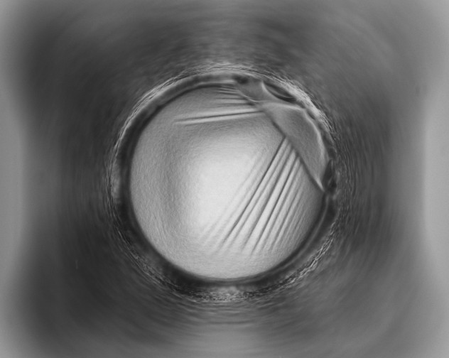 X0000096191167200802081514