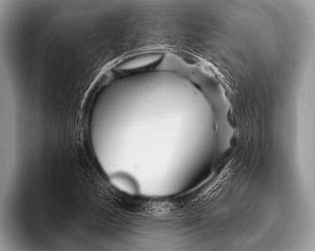 X0000096191168200802081514