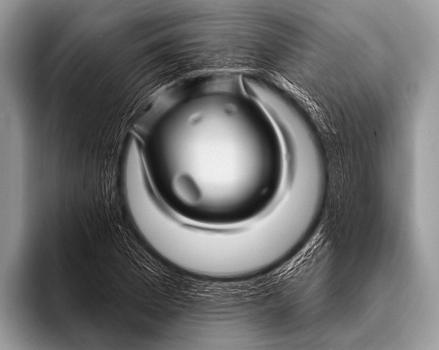 X0000096191169200802081514