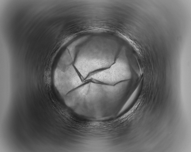 X0000096191170200802081514