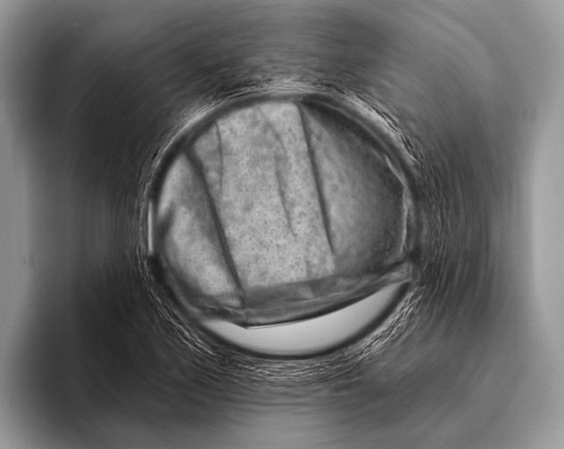 X0000096191171200802081514