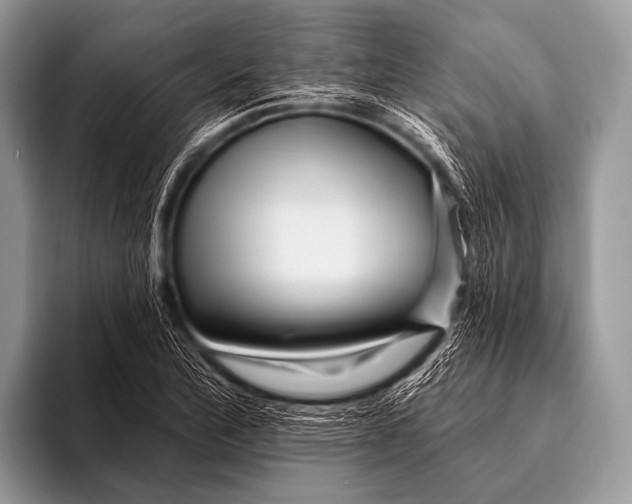 X0000096191172200802081514