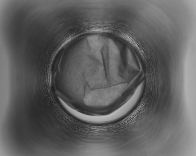 X0000096191173200802081514