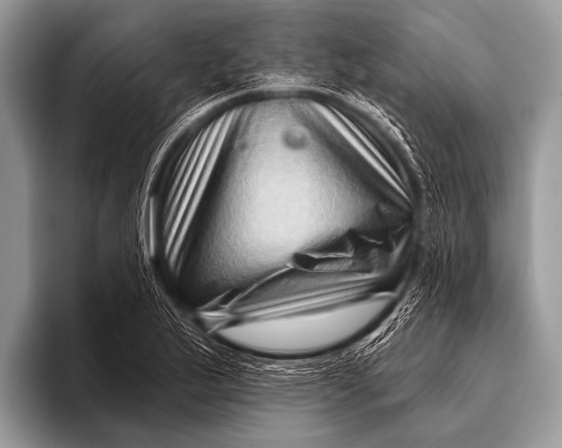 X0000096191175200802081514