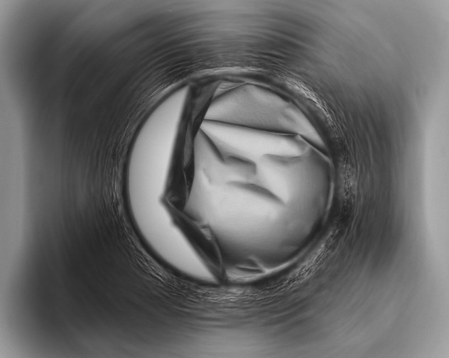 X0000096191177200802081514