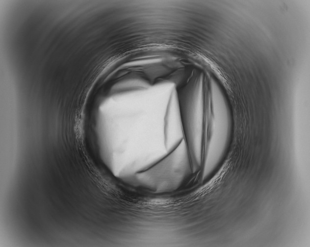 X0000096191178200802081514