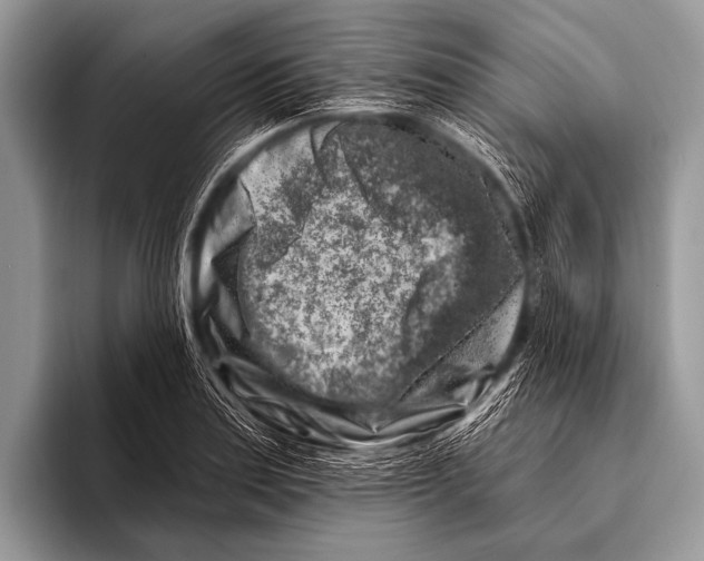 X0000096191179200802081514