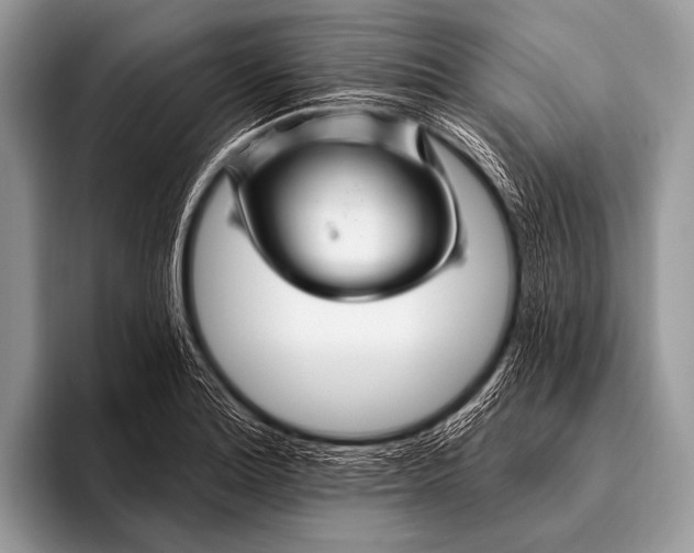 X0000096191180200802081514